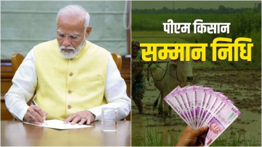 PWCNews: PM-KISAN scheme: आज सरकार देगी 20,000 करोड़ रुपये 9.4 करोड़ किसानों के खातों में; अपना नाम देखें लिस्ट में