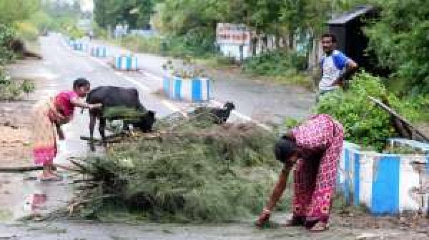 महिला को दाना तूफान से बचाने वाले आश्रय स्थल में हुई मौत, जानें पूरी कहानी PWCNews के साथ