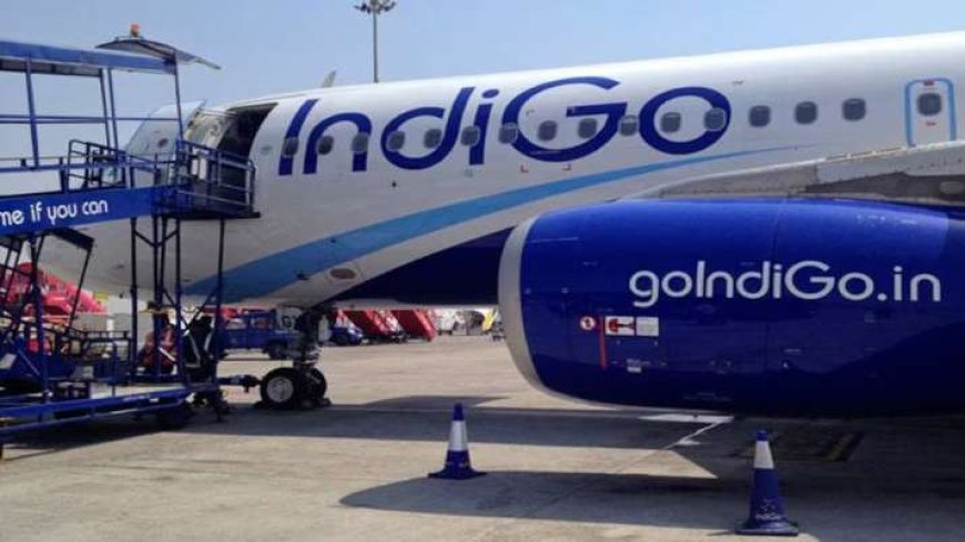 IndiGo, देश की सबसे बड़ी एयरलाइन को ₹986 करोड़ का घाटा, जानें Q2 में हुई वजह PWCNews