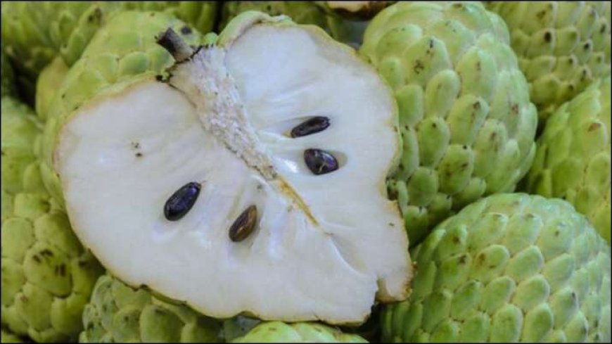 Custard Apple: इस विचित्र सच्चाई को जानिए, नहीं करेंगे ये गलती PWCNews