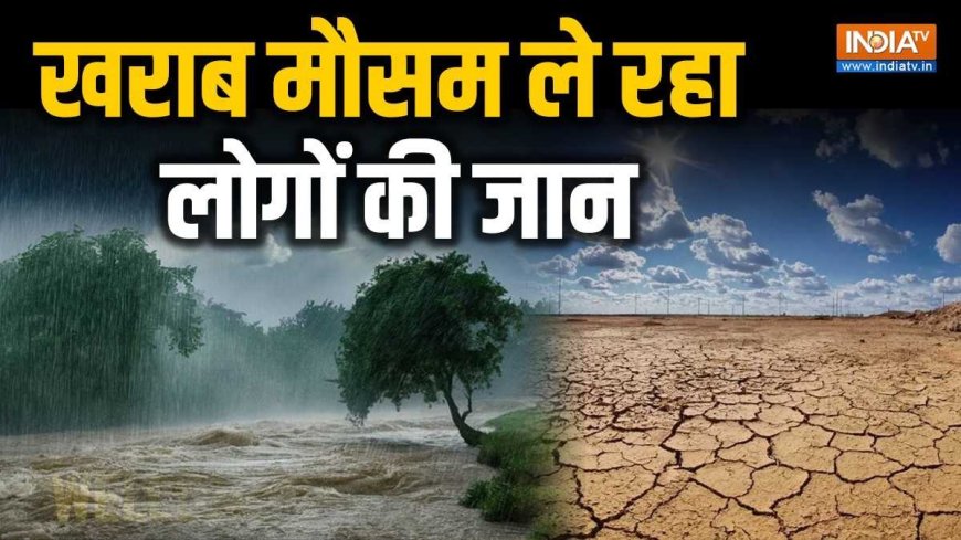 यह रिपोर्ट चौंकाएगी: साल के शुरुआती 9 महीनों में 3200 से अधिक लोगों की जान गई, जानें वजहें! PWCNews