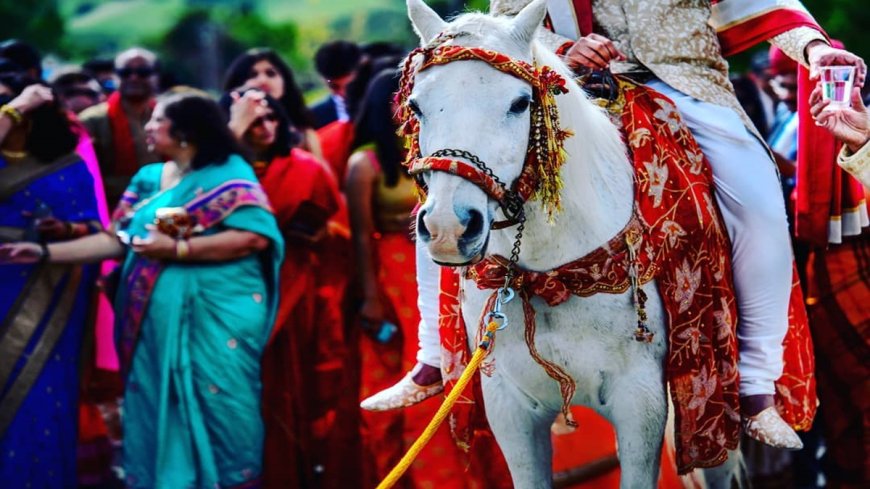 Dulha Leaves Everyone Surprised by Reaching Unexpected Location Before Riding Horse; Video Wins Hearts PWCNews