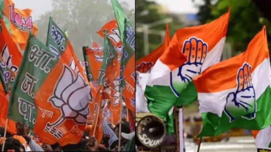 कॉन्ग्रेस की बम्पर जीत: BJP+ को झटका, सारी सीटों पर बनी विजय | PWCNews