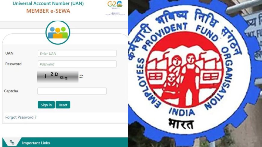 UAN एक्टिवेट करने की जरूरत PWCNews - EPFO के नए निर्देश से जुड़ी जानकारीाः क्या नौकरी बदलने के बाद है ये जरूरी?