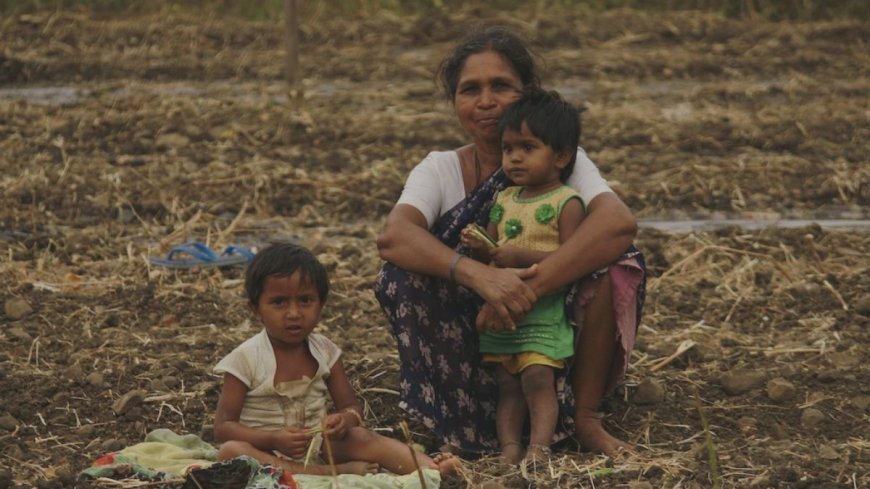 केंद्र सरकार ने ग्लोबल हंगर रिपोर्ट को गलत बताया, देश की वास्तविक स्थिति को छुपाया PWCNews