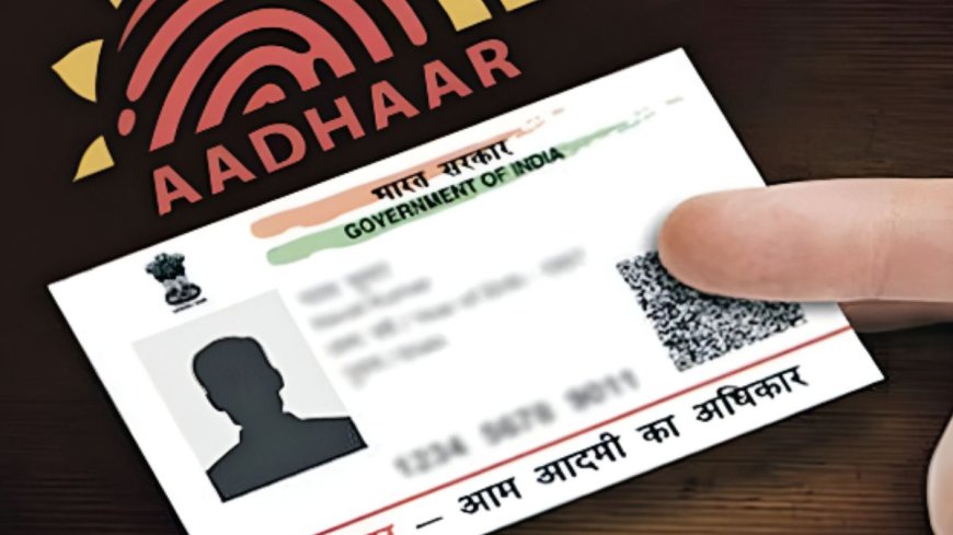 सीखें क्यों है असली Aadhaar Card देना जरूरी, जानें इस गलती से बचने के उपाय | PWCNews