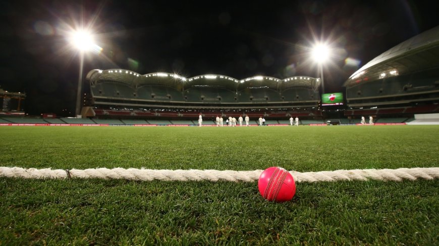 IND vs AUS Pink Ball Test: Adelaide Pitch to Challenge Batsmen, Will Pacers or Spinners Dominate? Janiye PWCNews से