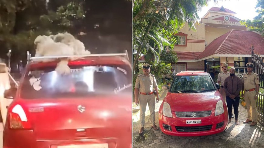 आश्चर्यजनक: शख्स ने पेट डॉग्स को कार की छत पर बिठाया, VIDEO वायरल; पुलिस ने किया गिरफ्तार - PWCNews