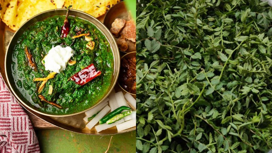 Enjoy Healthy and Delicious Bajra Roti with Chane Ka Saag to Beat the Cold, Fast Recipe Revealed! PWCNews