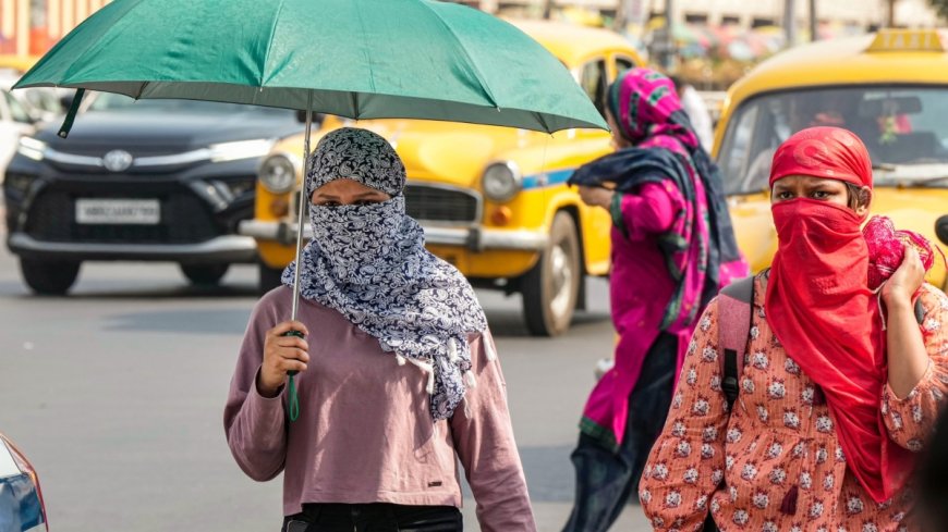 वाह मौसम! दिसंबर में गर्मी ने बढ़ाई परेशानियां, बारिश से कुछ राहत की उम्मीद, जानिए क्या है इस दौरान का हाल PWCNews