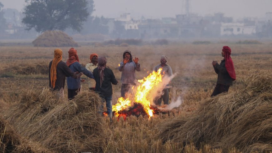 आज का मौसम 12 दिसंबर 2024: उत्तर भारत में अगले 5 दिन तक शीत लहर, दक्षिण भारत के 4 राज्यों में भारी बारिश का अलर्ट