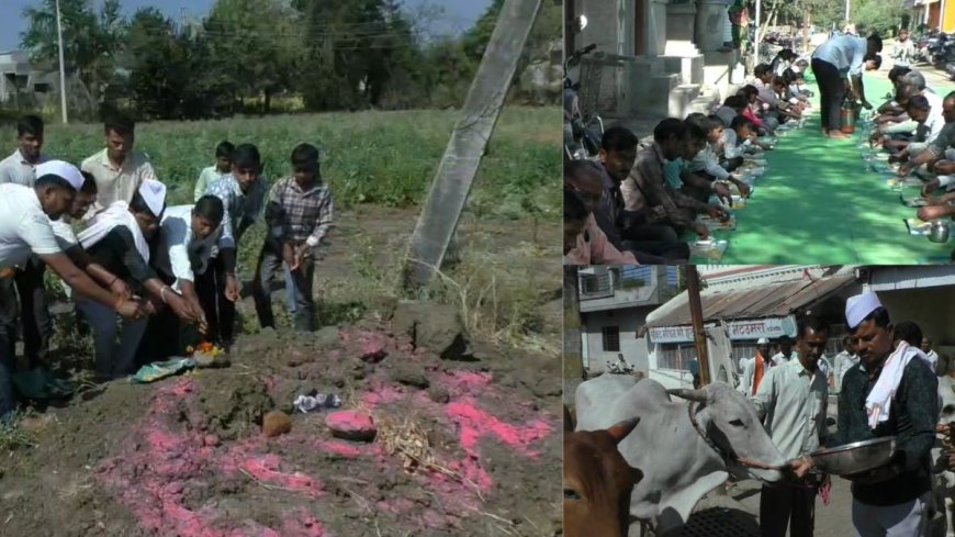 बैल से इतना प्यार! मौत के बाद की तेरहवीं, बैलों और ग्रामीणों को दी दावत, अनोखी है ये परंपरा