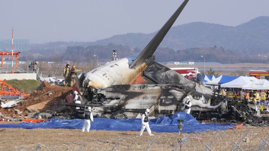 South Korea Plane Crash: विमान हादसे में मरने वालों का आंकड़ा पहुंचा 167 के पार, कई लोग लापता?