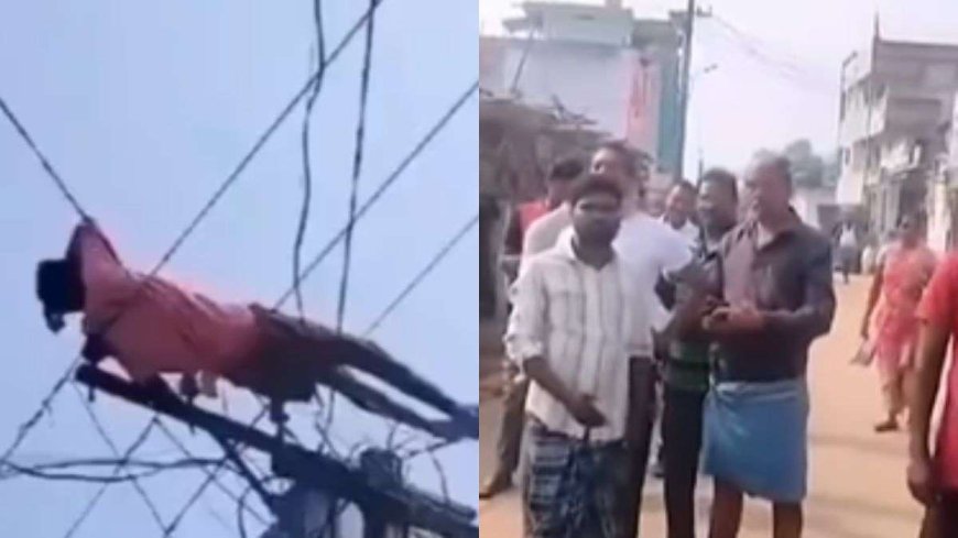 बिजली के तार पर लेटकर आराम करता दिखा शख्स, Video हो रहा है वायरल