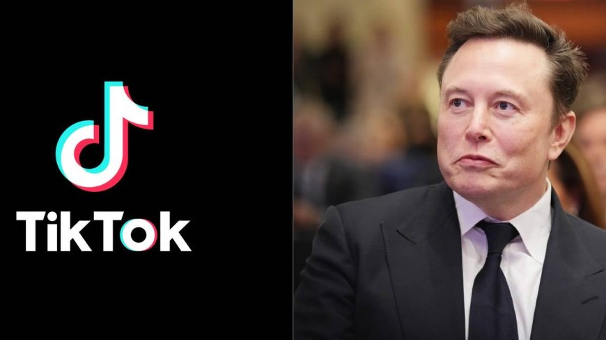 Twitter के बाद Elon Musk की TikTok पर नजर? एक और सोशल मीडिया खरीदने की तैयारी