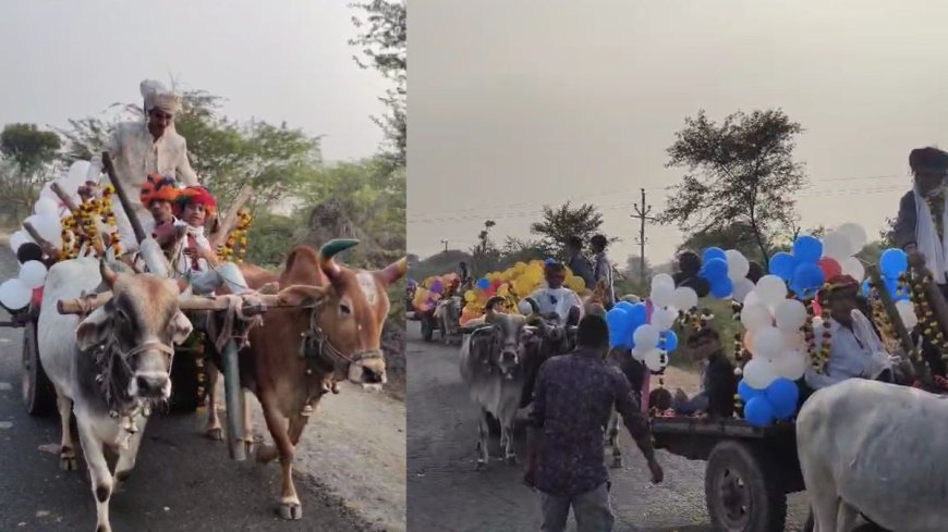 एक दर्जन से ज्यादा बैलगाड़ियों का काफिला लेकर दुल्हन को लेने पहुंचा दूल्हा, VIDEO देखकर सब रह गए दंग