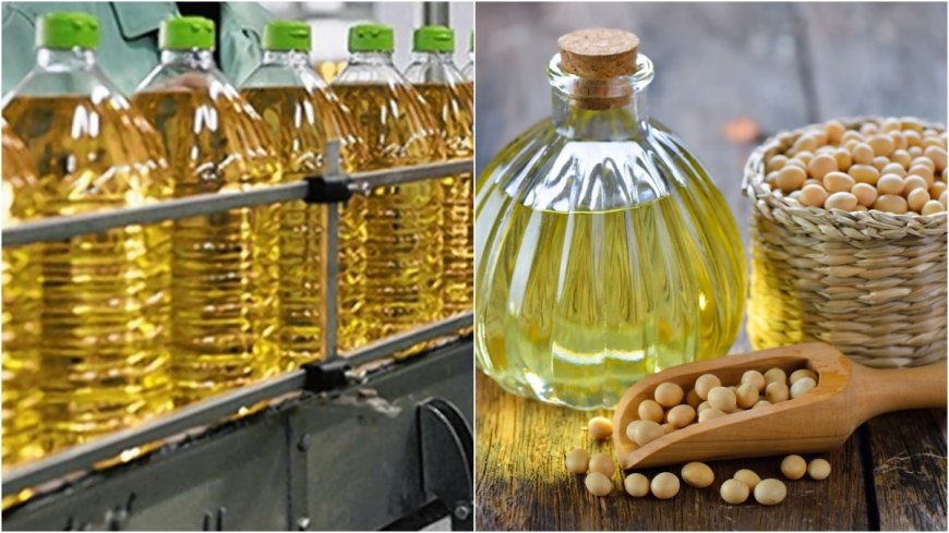 Edible Oil Prices : विदेशी बाजारों में गिरावट से सरसों, मूंगफली और सोयाबीन तेल के दाम टूटे, जानिए लेटेस्ट भाव