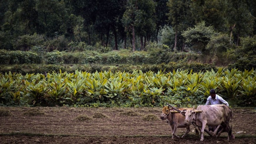 छत्तीसगढ़ बजट: किसानों के लिए ₹10,000 करोड़, पीएम आवास योजना के लिए ₹8500 करोड़, जानें आम लोगों के लिए क्या है खास