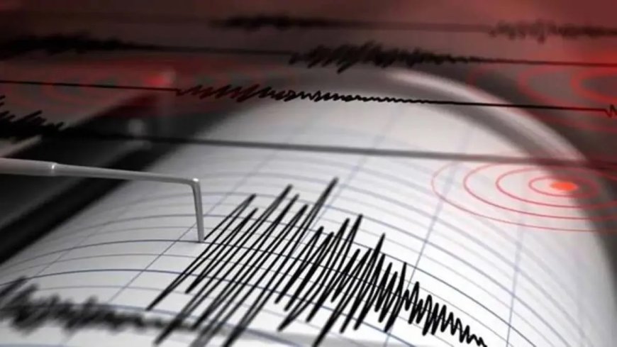 Earthquake: दुनिया के इस देश में महसूस किए गए भूकंप के तेज झटके, सहमे लोग