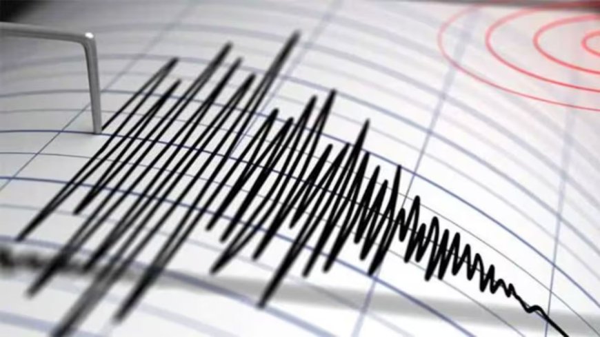 चीन में महसूस किए गए भूकंप के झटके, रिक्टर स्केल पर 4.5 मापी गई तीव्रता