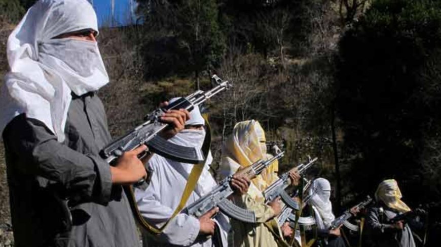 ना 'पाक' पाकिस्तान: सैफुल्लाह ही नहीं, अपने ही देश में मारे गए कई टॉप कमांडर्स, देखें लिस्ट