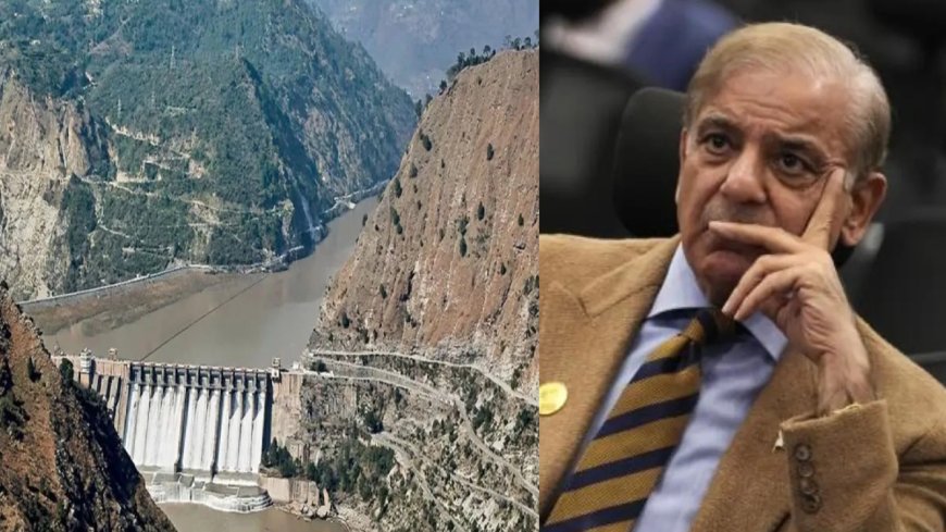 अब सता रहा अकाल का डर, सिंधु जल संधि के निलंबन को पाकिस्तानी नेता ने बताया 'वाटर बम', शहबाज सरकार से की खास अपील