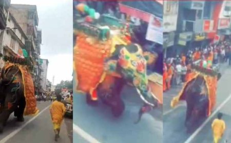 जगन्नाथ रथयात्रा में DJ की आवाज से हाथियों का बेकाबू होना, अफरातफरी में 4 घायल