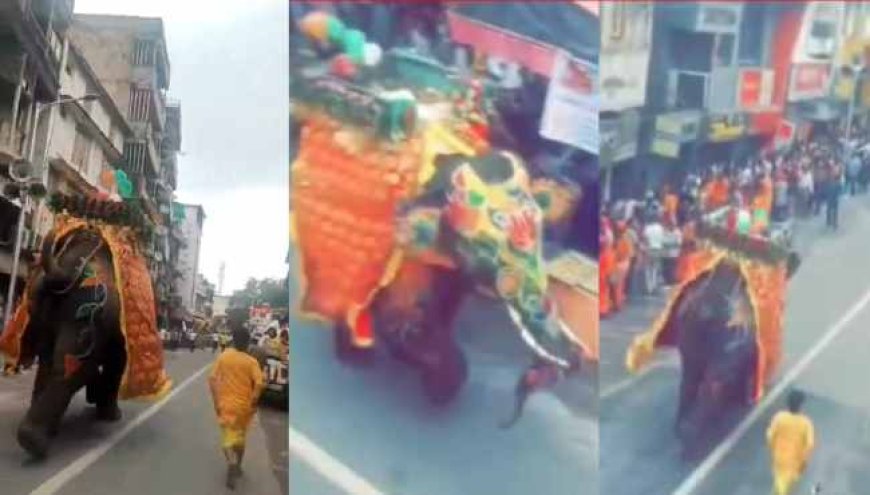 जगन्नाथ रथयात्रा में DJ की आवाज से बेकाबू हुए हाथी, अफरातफरी, 4 घायल