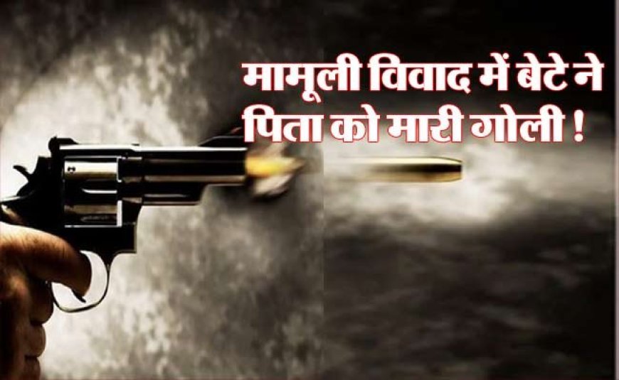 दिल्ली में उत्तराखंड मूल के रिटायर्ड सीआईएसएफ दारोगा की हत्या, मामूली विवाद में बेटे ने ही मार दी पिता को गोली!