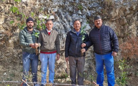 कर्मचारी महासंघ का एक साल का आंदोलन: पर्यावरण संरक्षण और अनुशासन की मिसाल