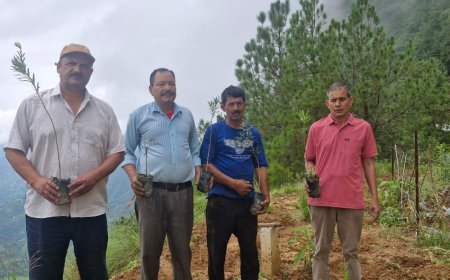 कर्मचारी महासंघ का पौधारोपण आंदोलन: 367 वां दिन और पर्यावरण संरक्षण की नई दिशा