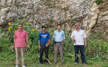 संयुक्त कर्मचारी महासंघ का पौधारोपण अभियान - पर्यावरण संरक्षण की नई पहल