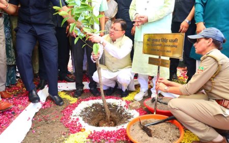 Uttarakhand: मुख्यमंत्री ने हरेला पर्व पर पौधारोपण कार्यक्रम के तहत रोपा रुद्राक्ष का पौधा