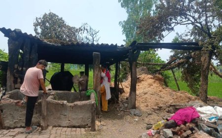 बिंदुखत्ता गौशाला में भयावह आग: मवेशियों और भूसे में हुआ नुकसान, महिला हुई घायल