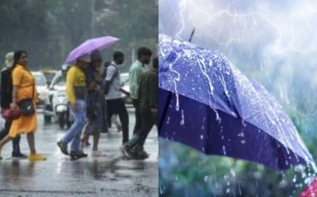 उत्तराखंड में मौसम: 28 जुलाई को IMD द्वारा भारी बारिश का अलर्ट, 7 जिलों में स्कूल बंद