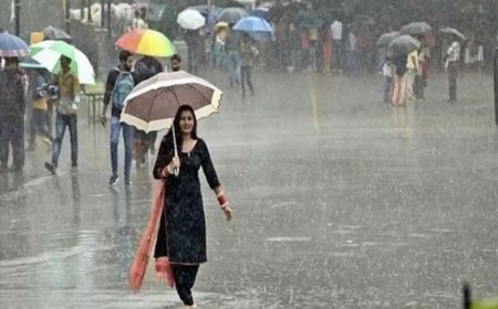 उत्तराखंड मौसम अद्यतन: 29 जुलाई को भारी बारिश की IMD चेतावनी - जानें जरूरी जानकारी