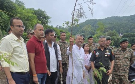 हरेला पर्व पर डांडा लखौंड (वार्ड 60) में वृक्षारोपण का आयोजन, पुरानी स्थल का समतलीकरण