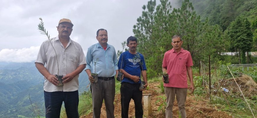 367 वें दिन कर्मचारी महासंघ ने यहां लगाए पौधे