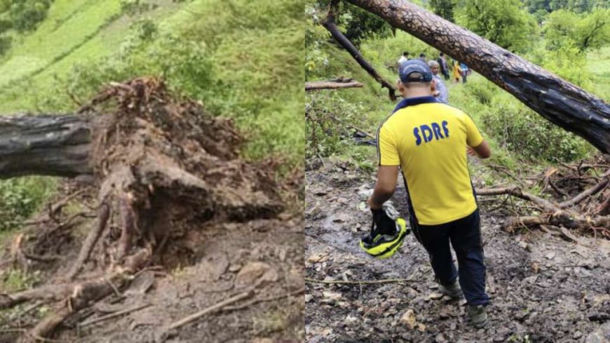Uttarakhand: पेड़ गिरने से दो छात्रों की मौत , स्कूल से लौटते समय हुआ हादसा