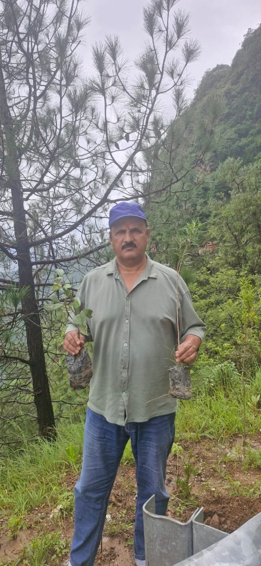 कर्मचारी महासंघ ने आंदोलन के 376 वें दिन लगाए 2000 पौधे