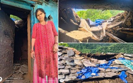 योजनाओं के लाभ से वंचित, जिम्मेदारियों का बोझ किस पर? - PWC News