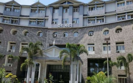 उत्तराखंड में IFS अधिकारियों के तबादले: जिम्मेदारियों में हुए बदलाव और नए प्रोजेक्ट्स की शुरुआत