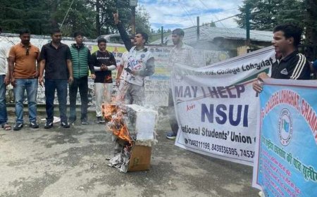 लोहाघाट में NSUI का बड़ा विरोध: कुलपति और शिक्षा मंत्री का पुतला फूंका