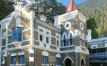 उत्तराखंड हाईकोर्ट ने नैनीताल जिपं चुनाव में असंतोष जताया, निर्वाचन आयोग को दिया शपथ पत्र पेश करने का आदेश