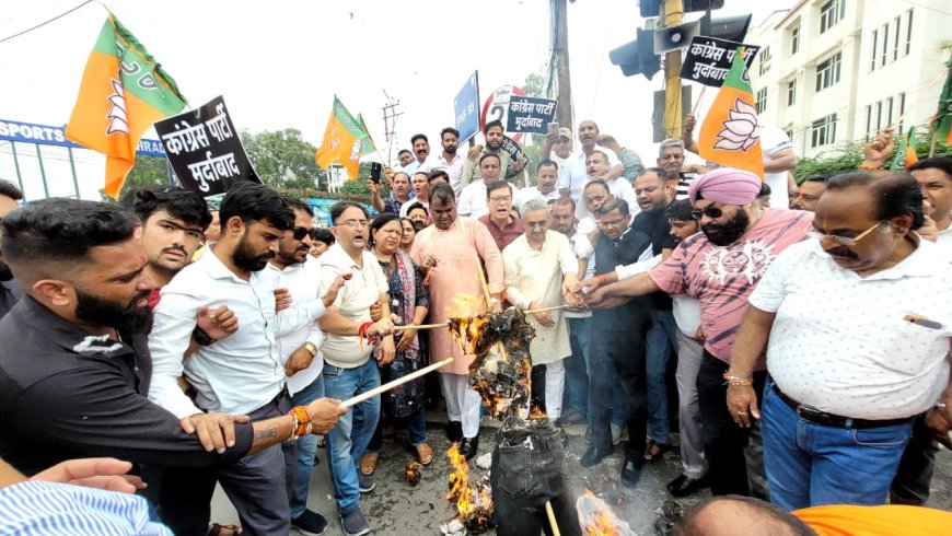 कांग्रेस विधायकों के गैर-जिम्मेदाराना रवैये के विरोध में भाजपा ने किया पुतला दहन