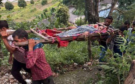 चम्पावत: सड़क की कमी ने ग्रामीणों को डोली का सहारा बनने पर मजबूर किया