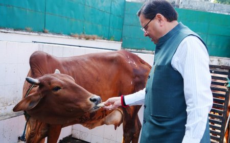 सीएम धामी ने की गौ माता की पूजा