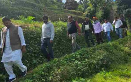 विधायक कैड़ा ने ओखलकांडा ब्लॉक में सुनी ग्रामीणों की समस्याएं