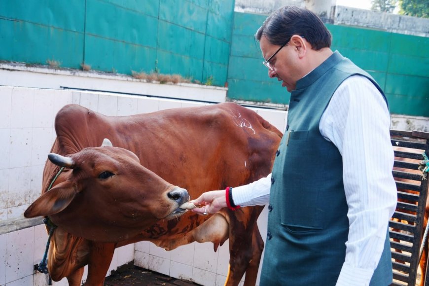 सीएम धामी ने की गौ माता की पूजा