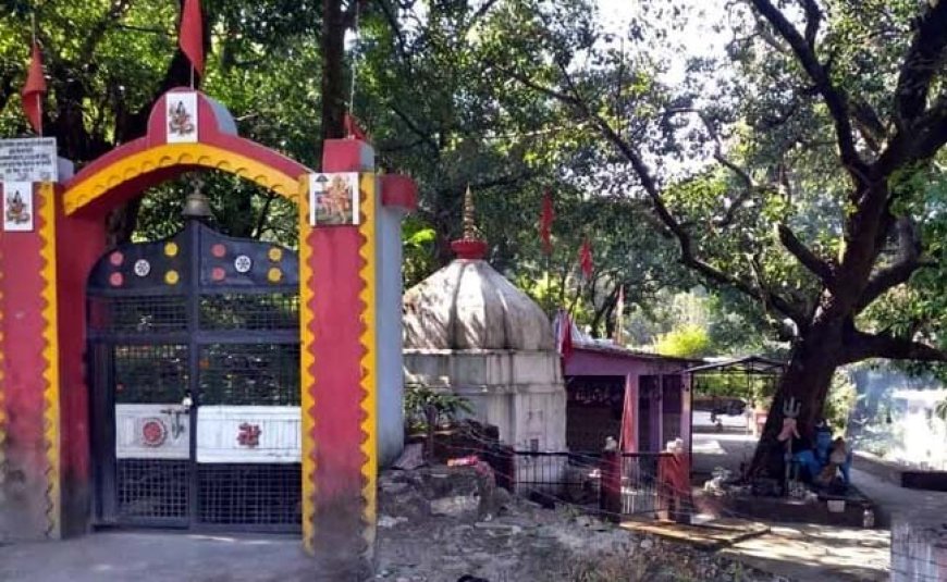थानेश्वर महादेव मंदिर में बैकुंठ चतुर्दशी मेले की तैयारियां पूर्ण, रात्रिकालीन ‘खड़ दिया अनुष्ठान’ के लिए अब तक 5 नि:संतान दंपतियों ने किया पंजीकरण